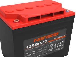 Lead-Acid Batteries